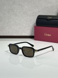 Cartier Titanium Sunglasses CT0539S