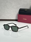 Cartier Titanium Sunglasses CT0539S