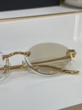 Replica Cartier shades CT0504S