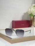 Cartier men sunglasses Titanium CT0553O