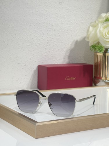 Cartier men sunglasses Titanium CT0553O