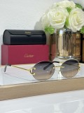 Replica Cartier Sunglasses CT820094O
