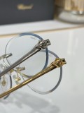 Replica Cartier shades CT0504S