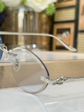 Replica Cartier shades CT0504S