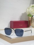 Cartier men sunglasses Titanium CT0553O