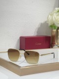 Cartier men sunglasses Titanium CT0553O