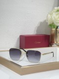 Cartier men sunglasses Titanium CT0553O
