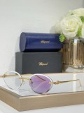 Replica Cartier shades CT0504S