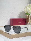 Cartier men sunglasses Titanium CT0553O