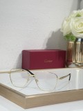 Cartier men sunglasses Titanium CT0553O