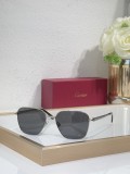 Cartier men sunglasses Titanium CT0553O