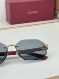 Cartier shades replica CT0440