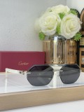Cartier shades replica CT0440