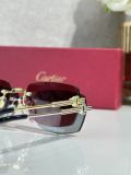 Cartier sunglasses Titanium CT0578O