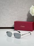 Cartier sunglasses Titanium CT0578O
