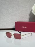 Cartier glasses Titanium CT0578O