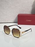 Cartier men sunglasses CT01476O