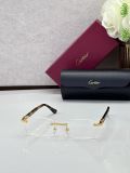 Cartier Eye optical CT0607OJ