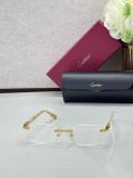 Cartier Eye optical CT0607OJ