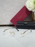 Cartier Black sunglasses CT0430S