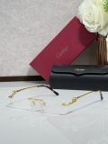 Cartier Black sunglasses CT0430S