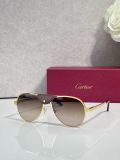 Sunglasses men Cartier CT0034S