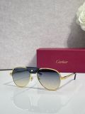 Sunglasses men Cartier CT0034S