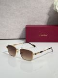 Fish sunglasses Cartier CT0658