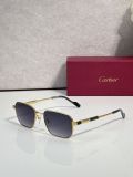 Fish sunglasses Cartier CT0658