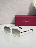 Fish with glasses Cartier CT0659