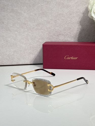 Polarized sunglasses Cartier CT0092