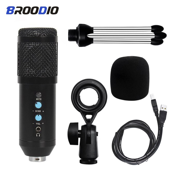 Karaoke Microphone For PC Singing Condenser Microphone Professional BM 800  Studio MIC Computer Recording USB Microphone