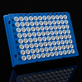 Blue PCR Plates 96 Well Plates Factory Supply