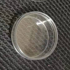 Plastic Petri Dish Culture Plate In Bulk Laboratory Sterile Cell Culture Plate