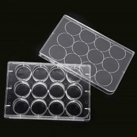 12 well cell culture plate plastic flat bottom cell culture plate