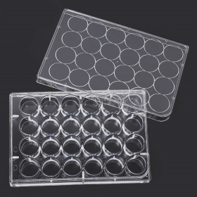 24 well culture plates plastic flat bottom cell culture plate