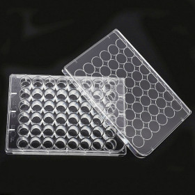 48-well culture plate plastic flat bottom cell culture plate