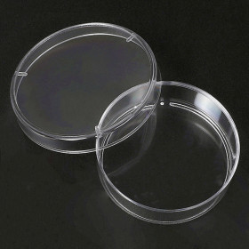 35mm sterile petri dish