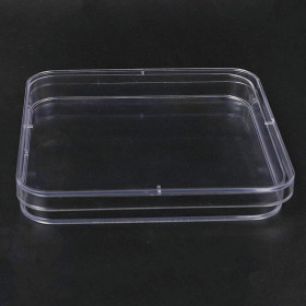 130mm square petri dish lab sterile plastic round culture plate