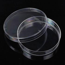 75mm lab petri dish disposable flat dish