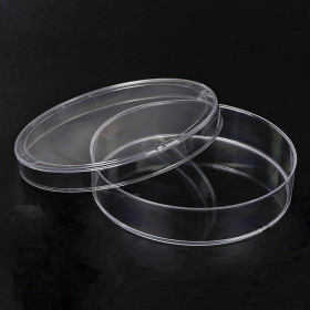 70mm sterile petri dish  round culture plate