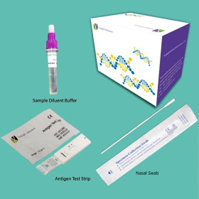 FDA/CE Rapid Antigen Test Kit Factory Supply At-Home Self Test Kit