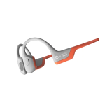 SHOKZ OpenRun Pro S810