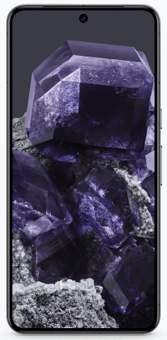 Google Pixel 8 Pro Global Version