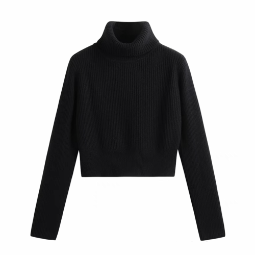 High Neck Short Style Long Sleeved Sweater #nigo21953