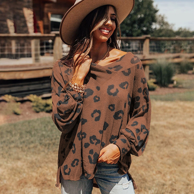 Women's Casual Leopard Print V-Neck Long Sleeve Off Shoulder T-Shirt Top