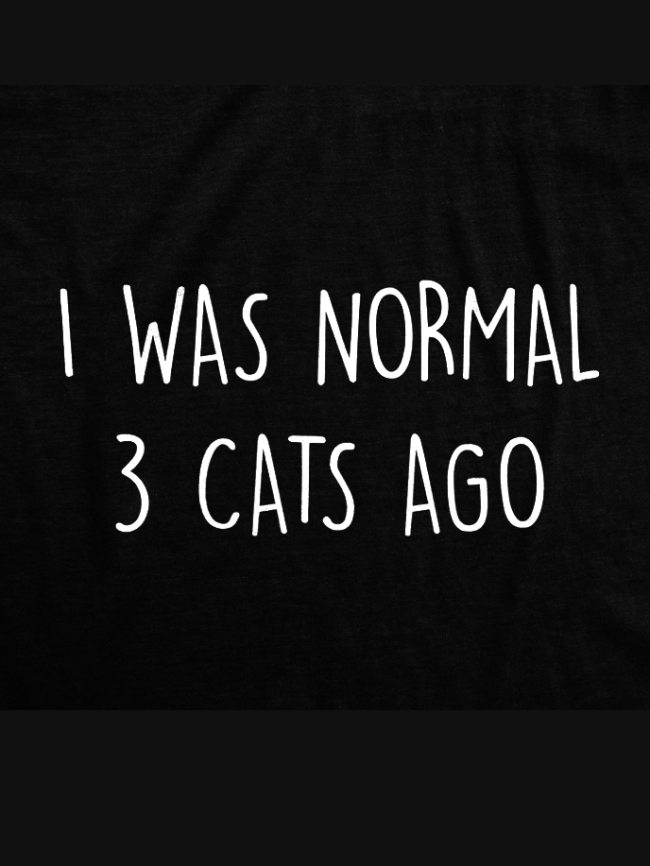 I Was Normal 3 Cats Ago Funny Saying Letter Print V-neck T-shirt