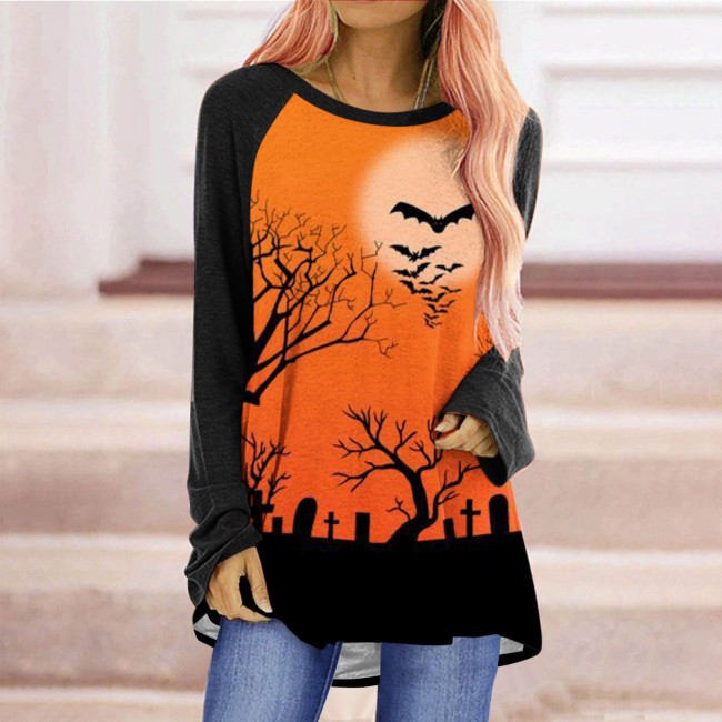 Women's Loose T-Shirts Cat Pumpkin Halloween Print Crew Neck Long Sleeve T-Shirt