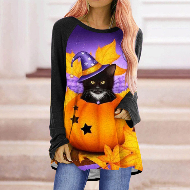Women's T-Shirts Cat Pumpkin Print Crew Neck Long Sleeve T-Shirt