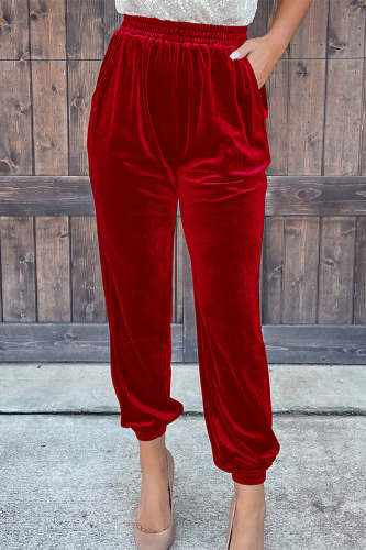 Casual Street Solid Solid Color Straight Straight Solid Color Velvet Pant